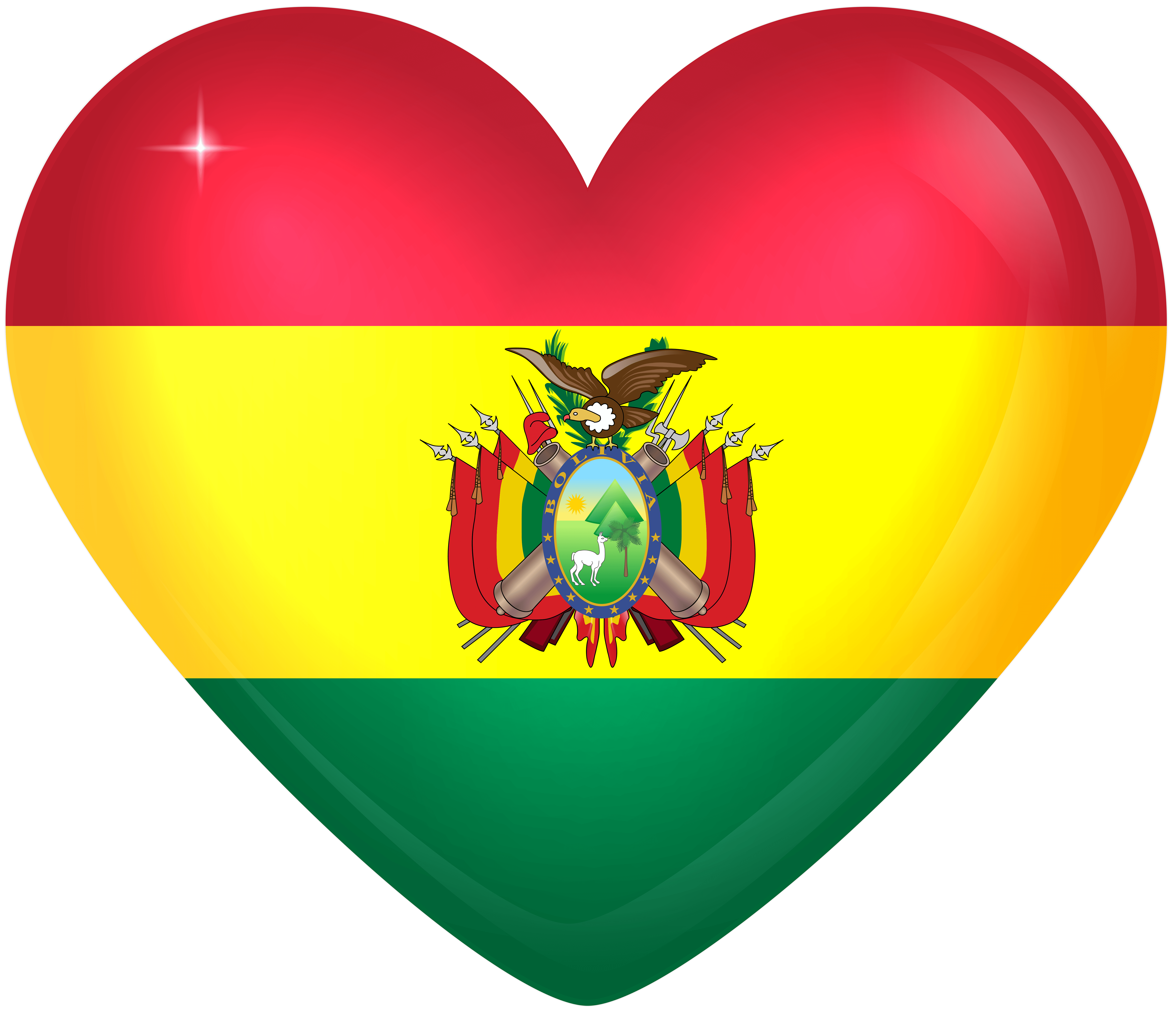 Bolivia Large Heart Flag Quality