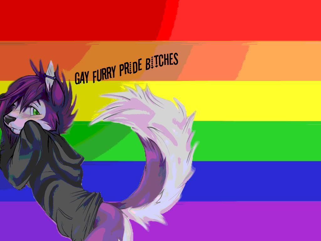 Gay Furry Pride Wallpaper Cave