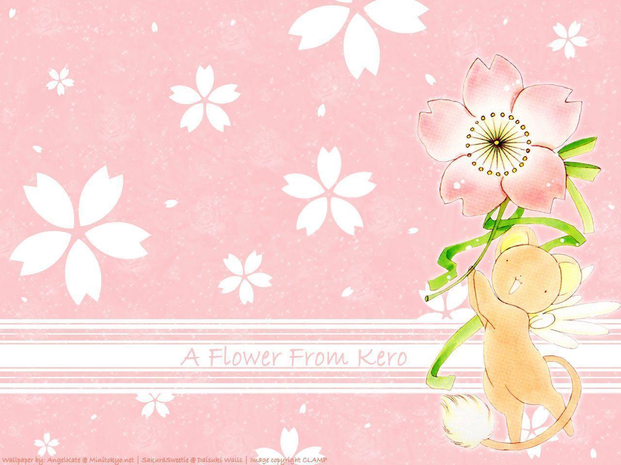 A flower from Kero Sakura Wallpaper