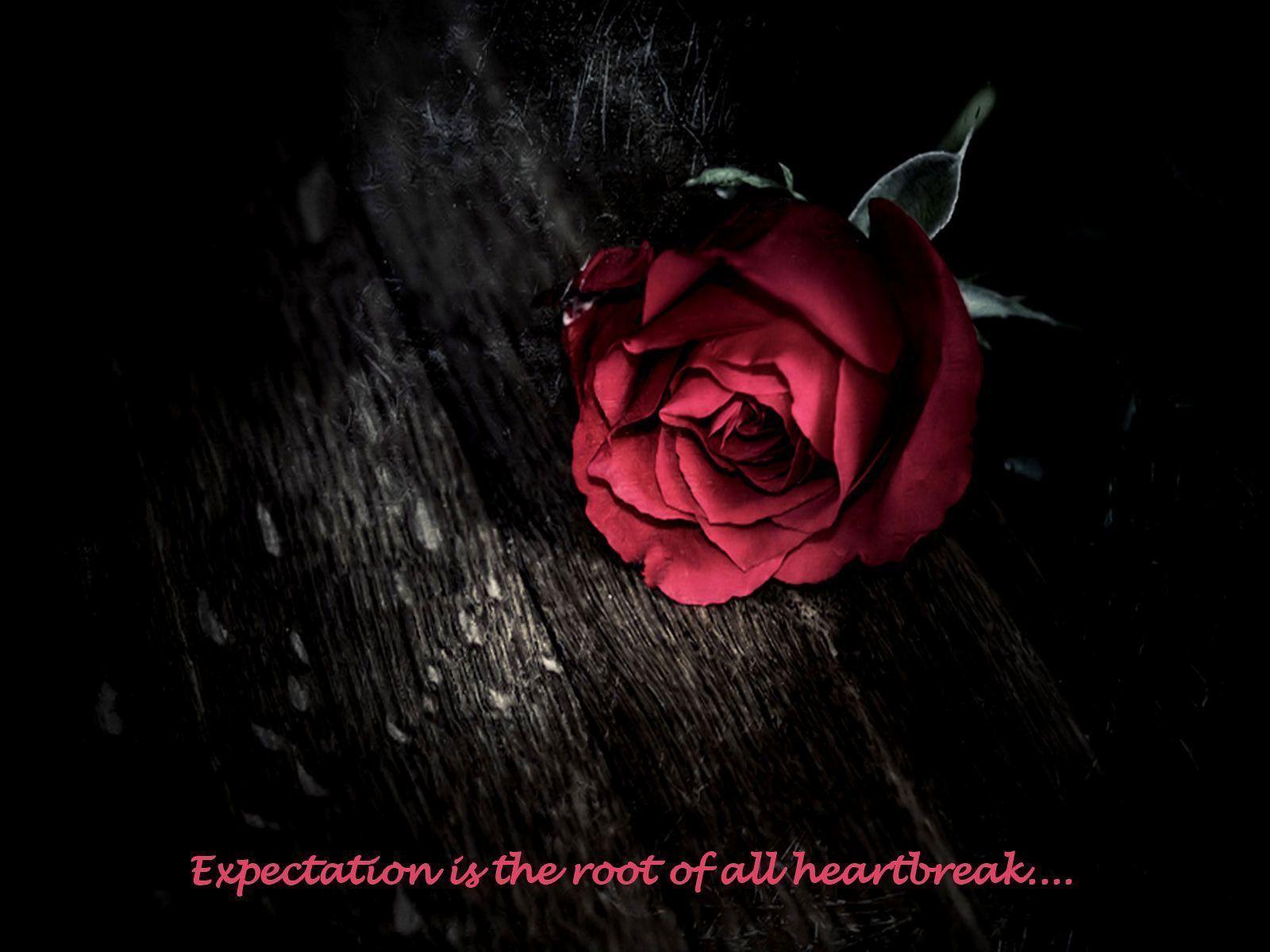 Expectation is the root of all heartbreak. Quotes Its Me