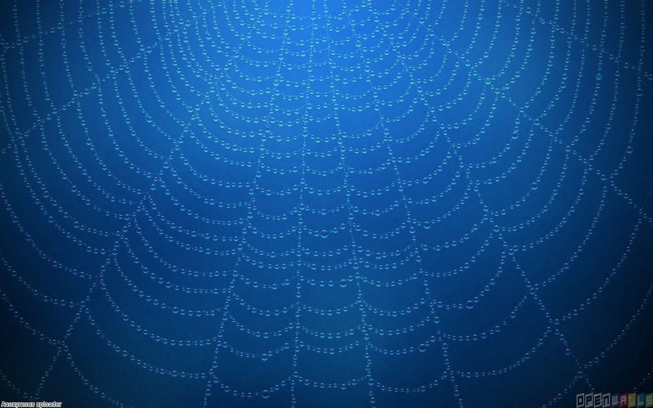 Spider Web Backgrounds - Wallpaper Cave