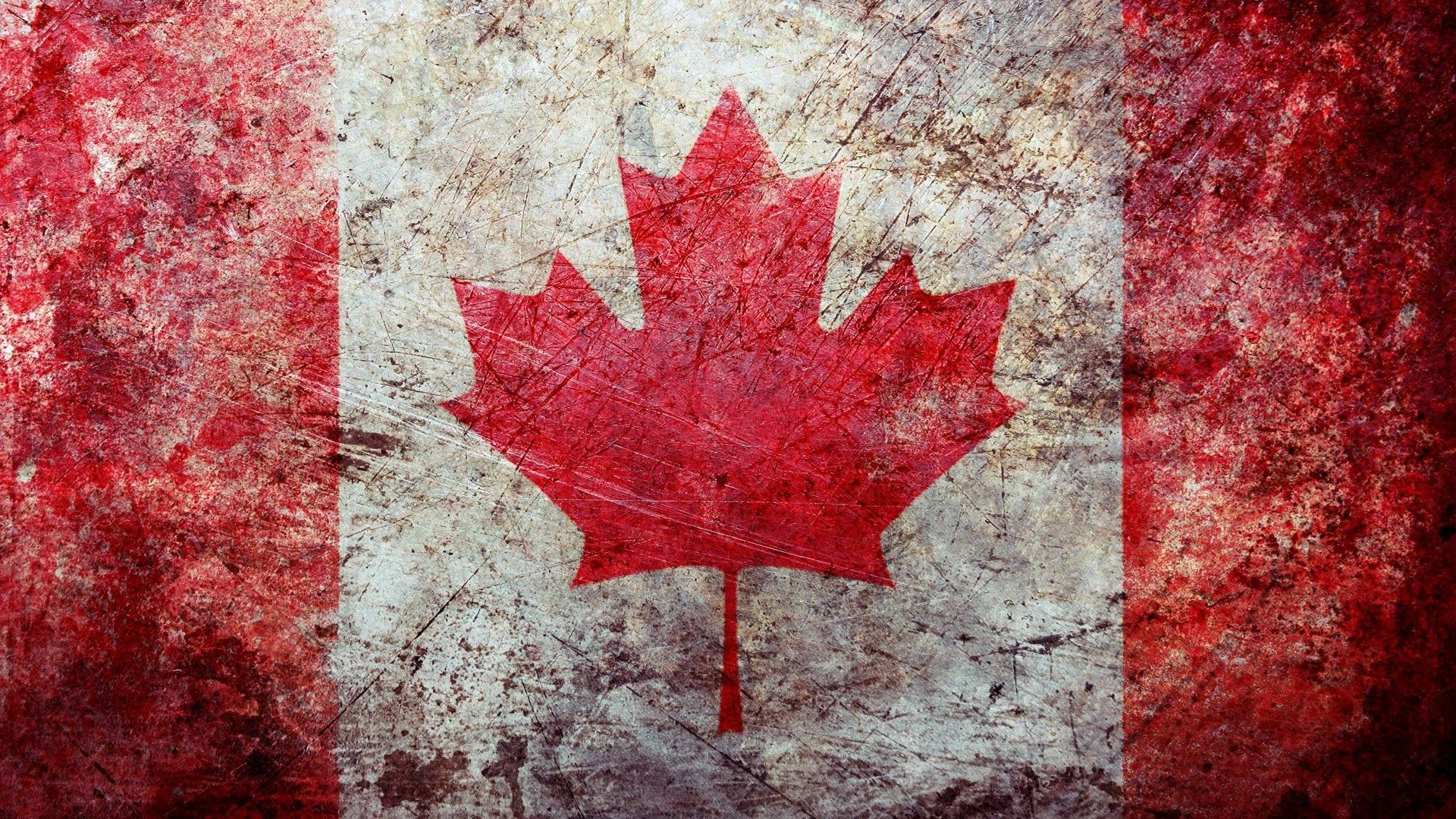 Bird Wallpaper Canada Flag