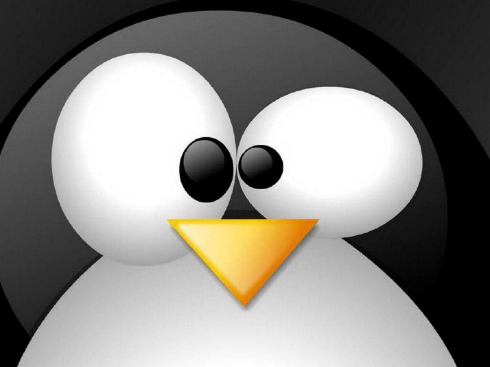 Tux Linux Wallpaper Desktop Background High Resolution Penguin