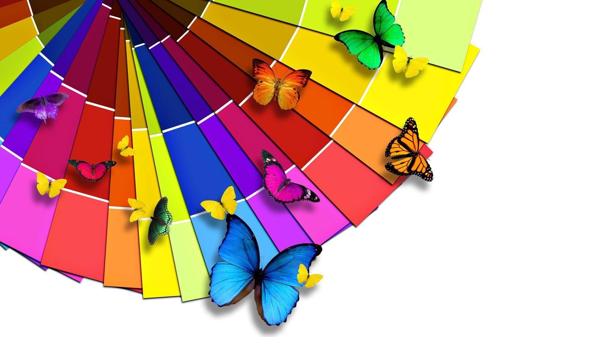 Butterflies on a color sampler HD Wallpaper. HD Wallpaper. Nature