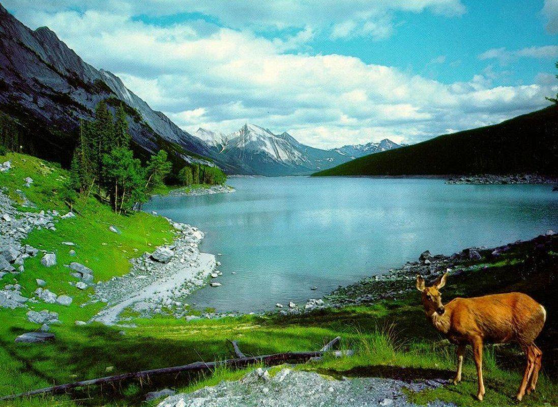 Most Beautiful Nature Image Background 1 HD Wallpaper. lzamgs