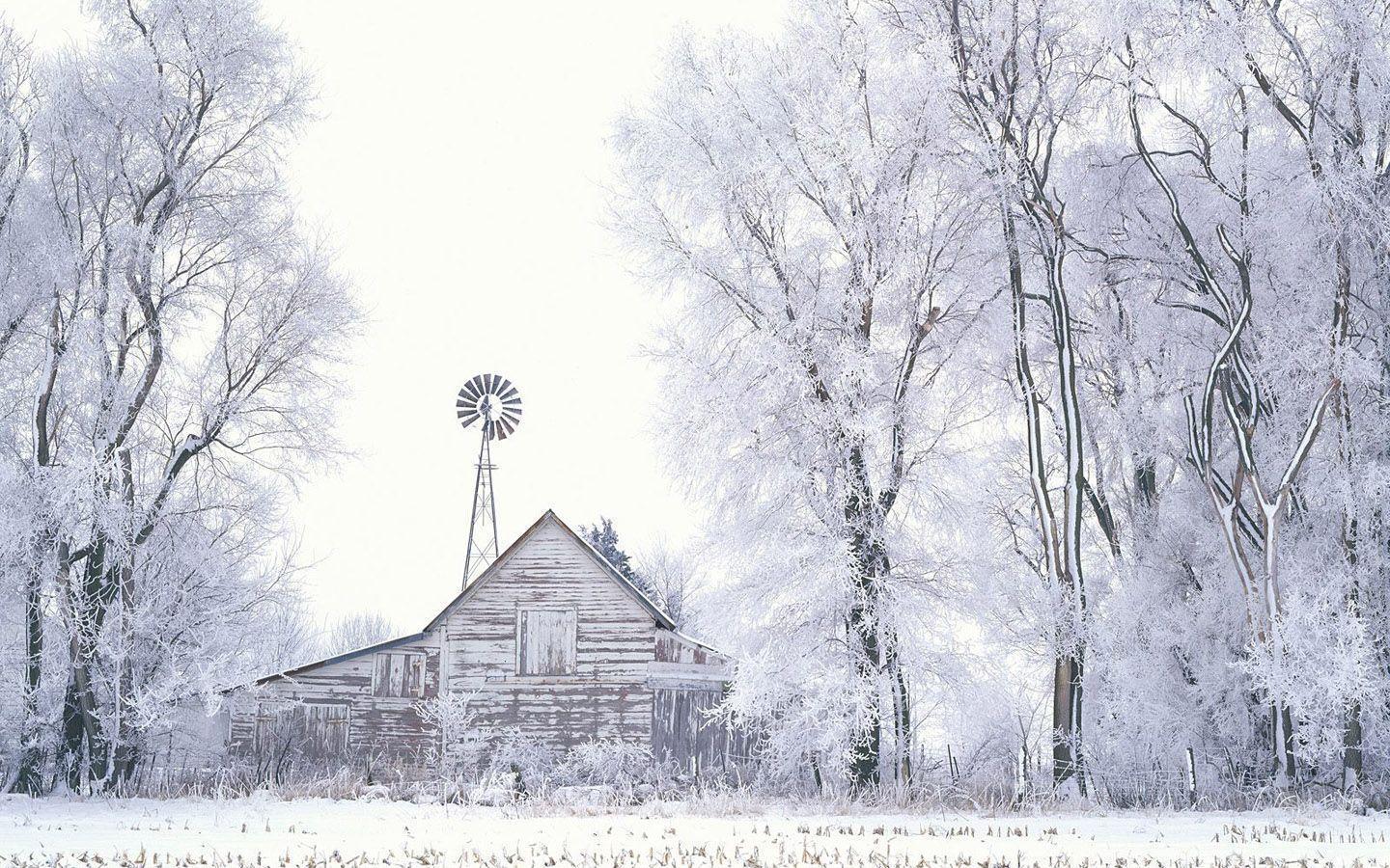 Winter wonderland, Dreamy Snow Scene wallpaper 1440x900 NO.32