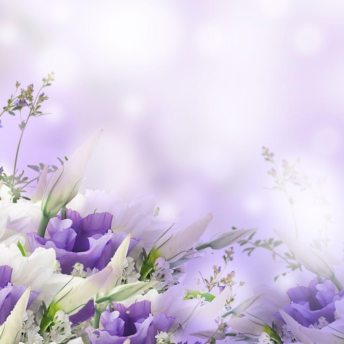 Terms & Conditions. Purple Violets Florists Next Day