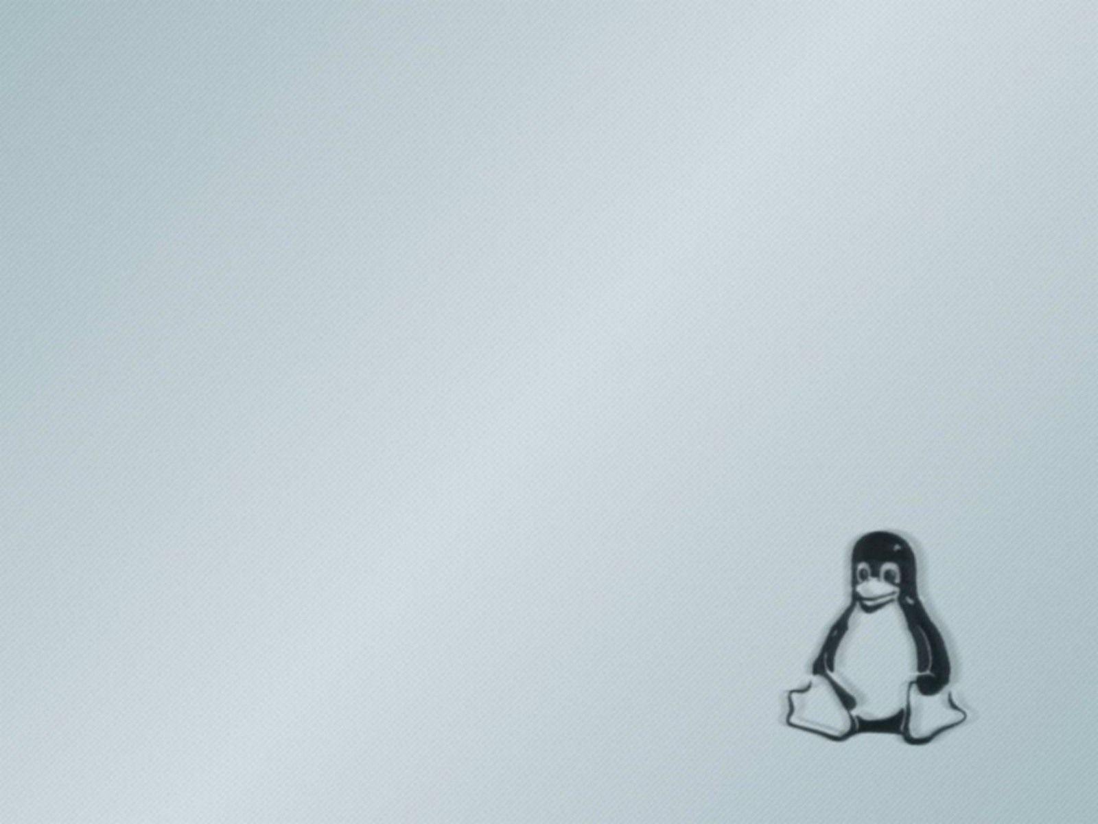 Wallpaper For > Linux Penguin Wallpaper