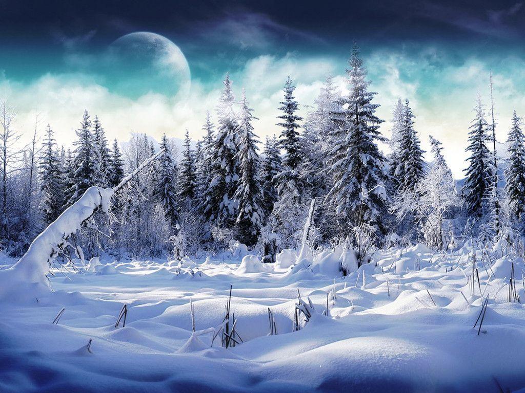 Full HD Wallpaper + Nature, Seasons, Snow, Trees, Winter, Blue