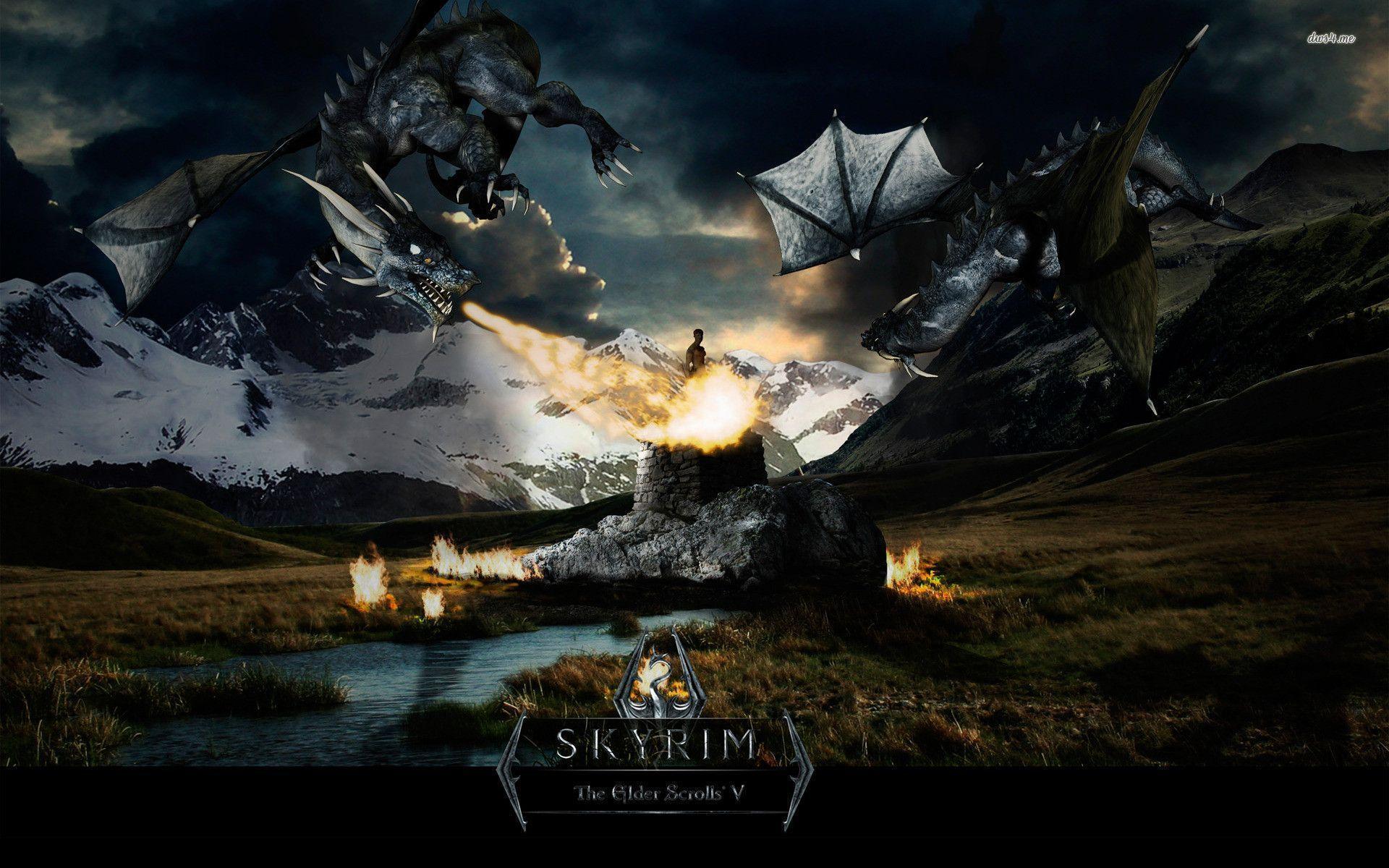 Skyrim Dragon Wallpaper HD wallpaper search