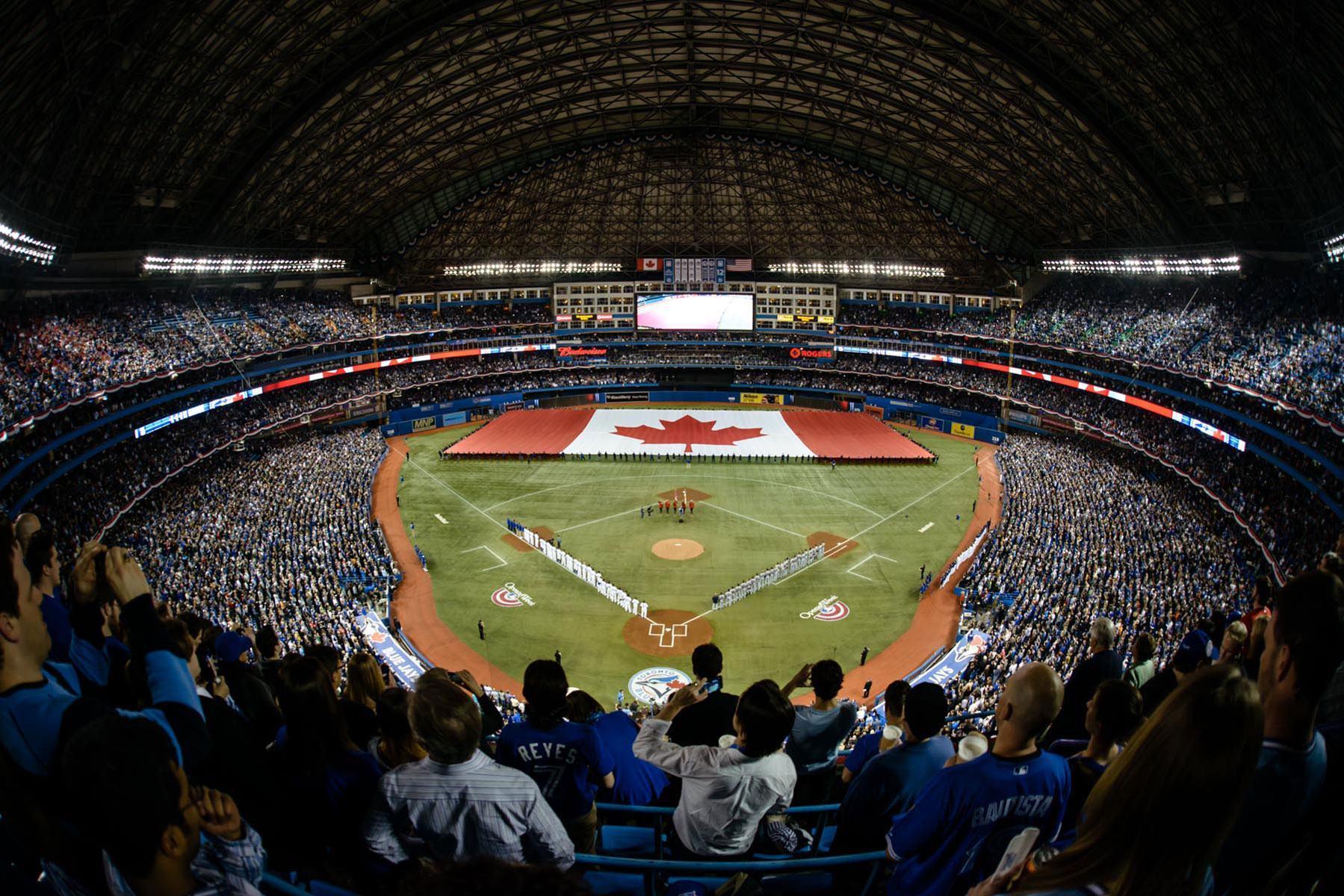 Toronto Blue Jays Wallpaper