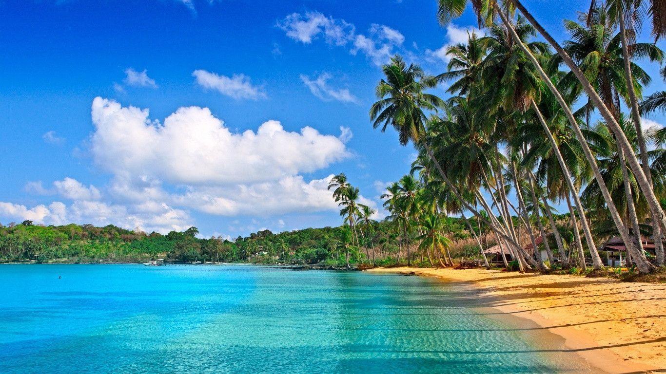 Tropical beach HD Wallpaper