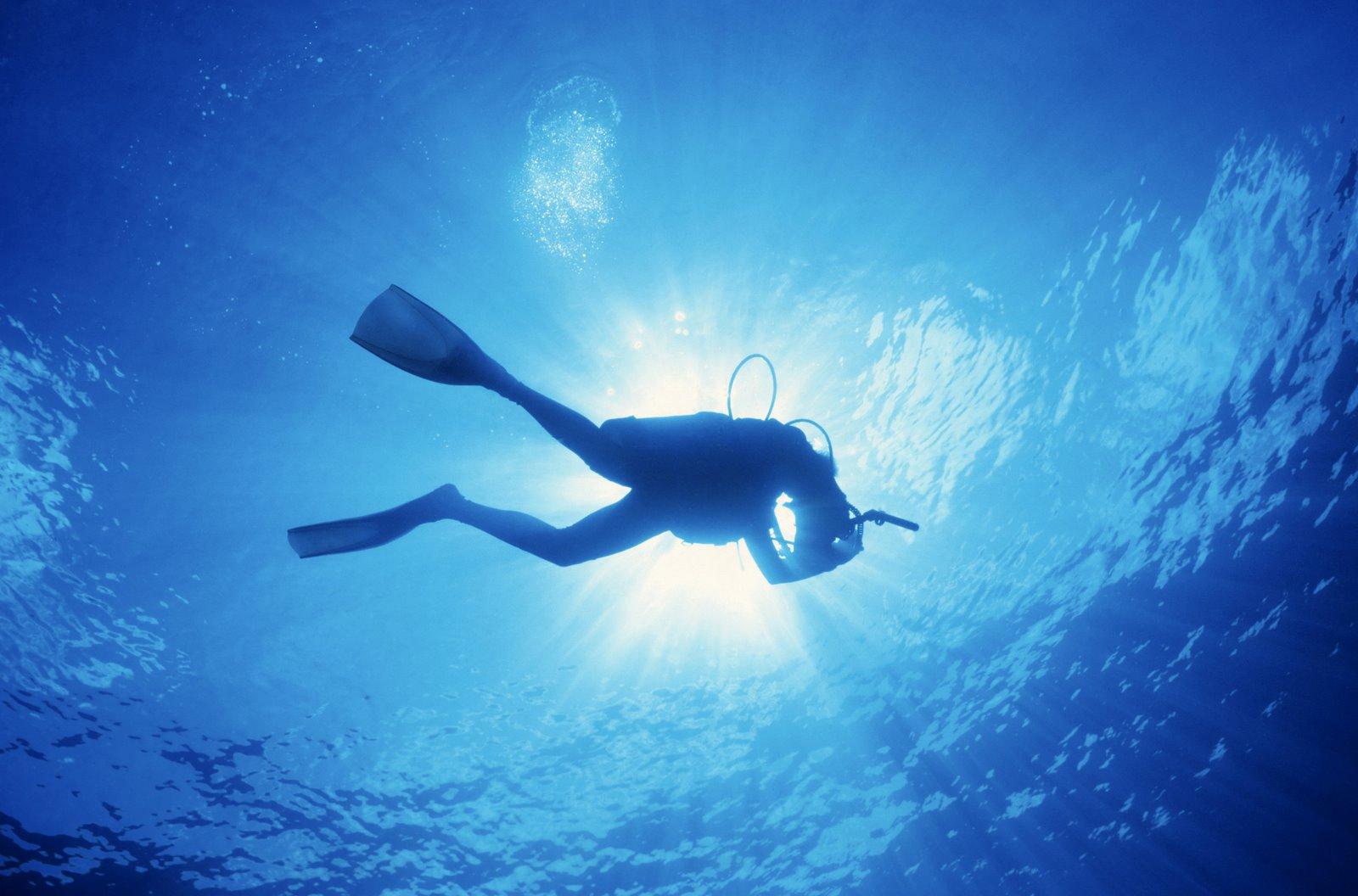 Download Diver Underwater Wallpaper 1600x1056