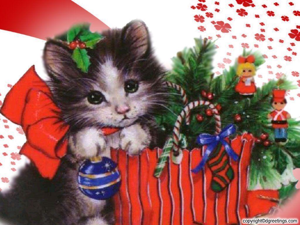 Free Beautiful Christmas Kitten Wallpaper wallpaper Wallpaper