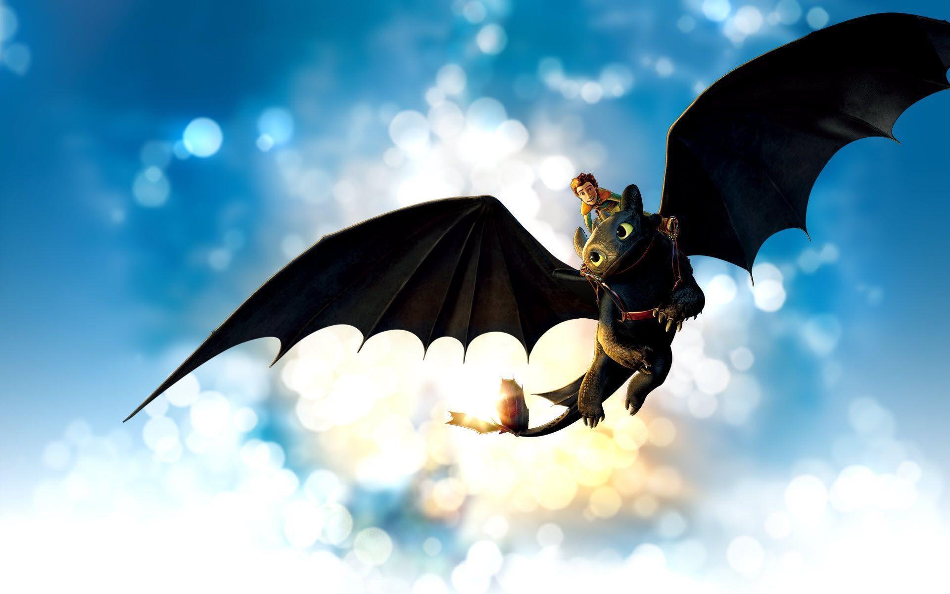Toothless Dragon Wallpaper Image & Picture