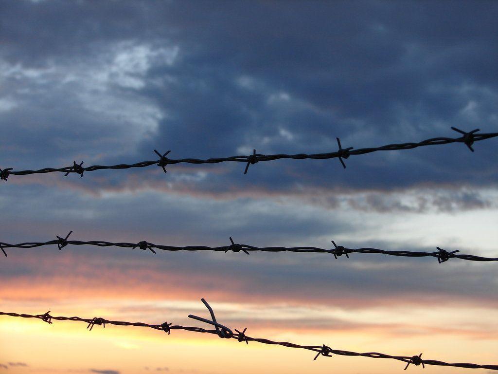 Home Ideas For > Barbed Wire Background