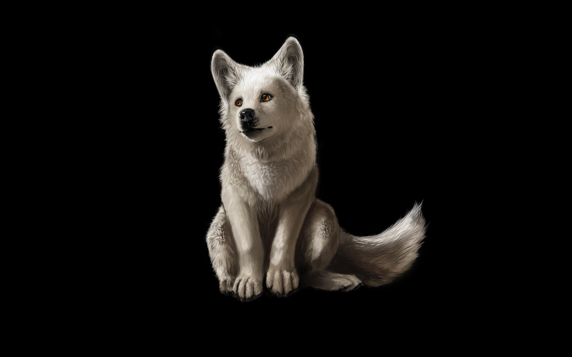 Wallpaper For > Cool White Wolf Background