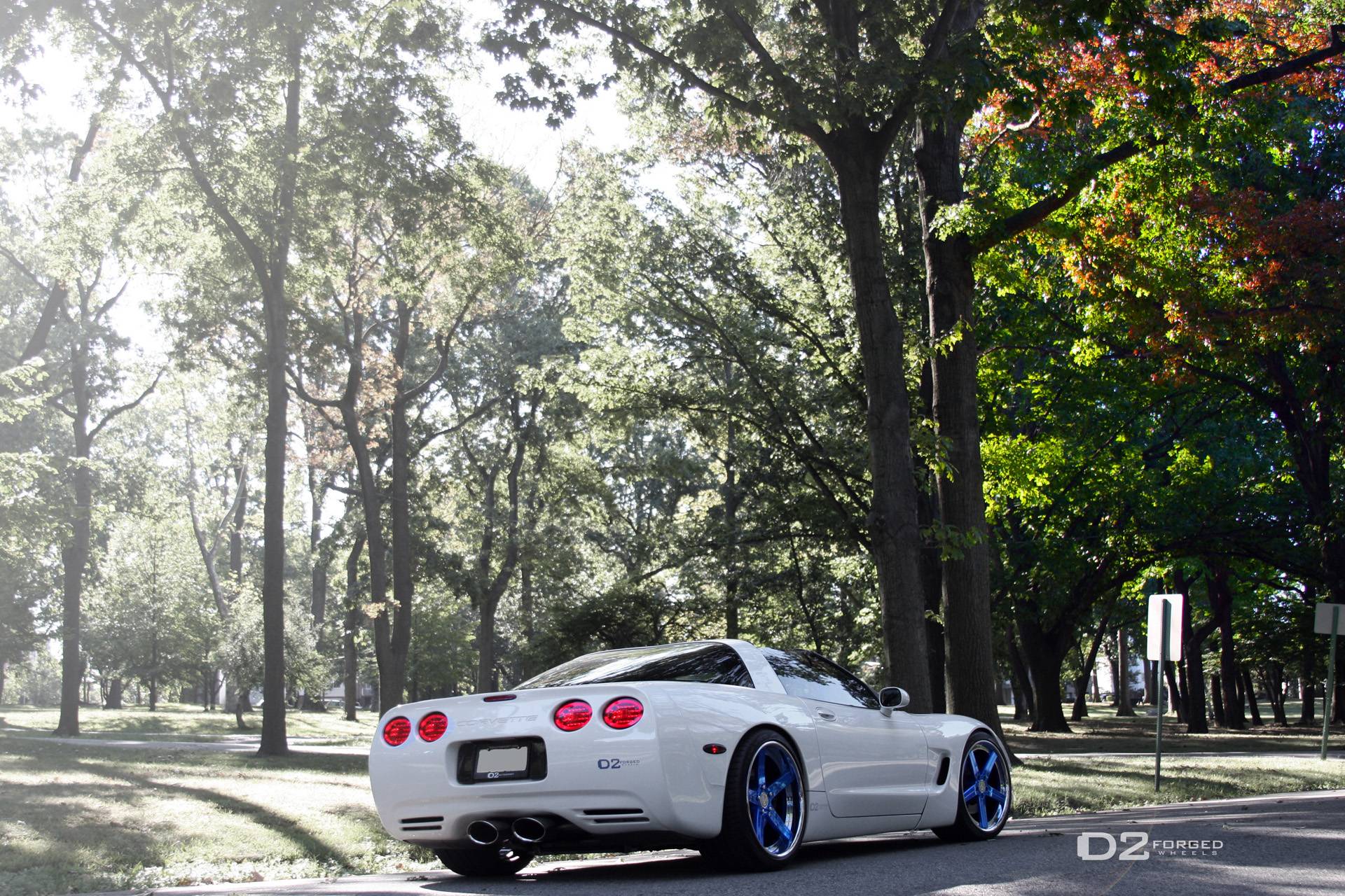Sunday Wallpaper: Corvette C5 on D2FORGED CV2 Wheels. TheD2Life