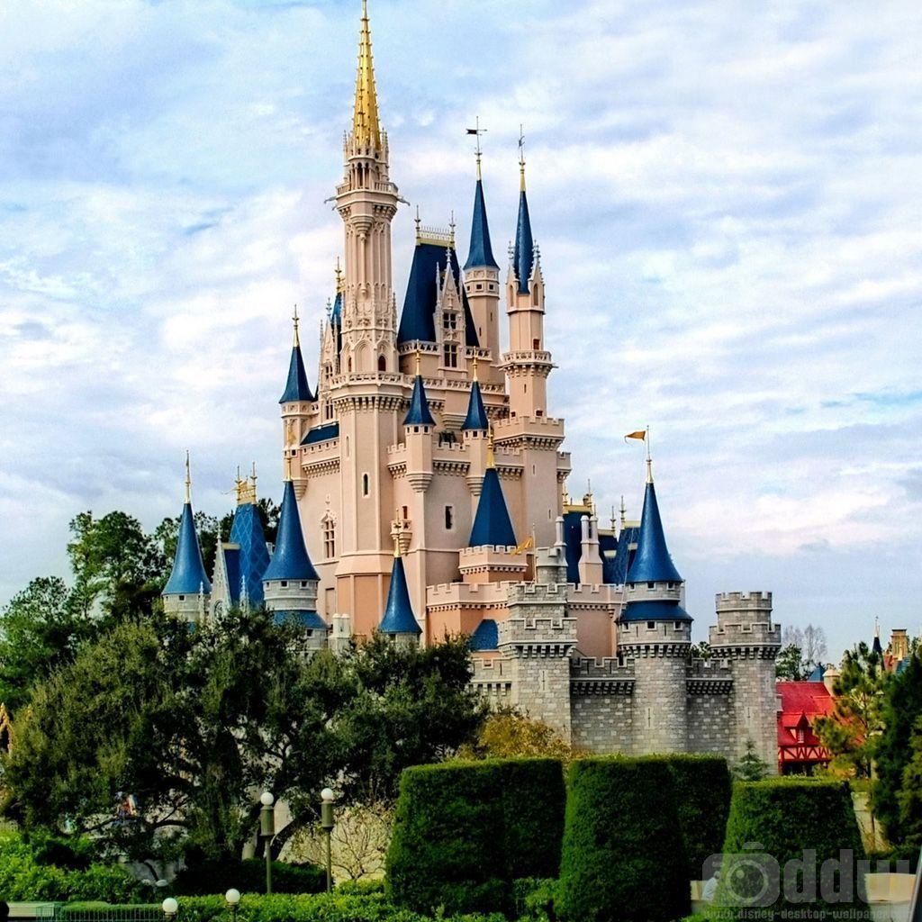 Disney Castle Widescreen Background Wallpaper