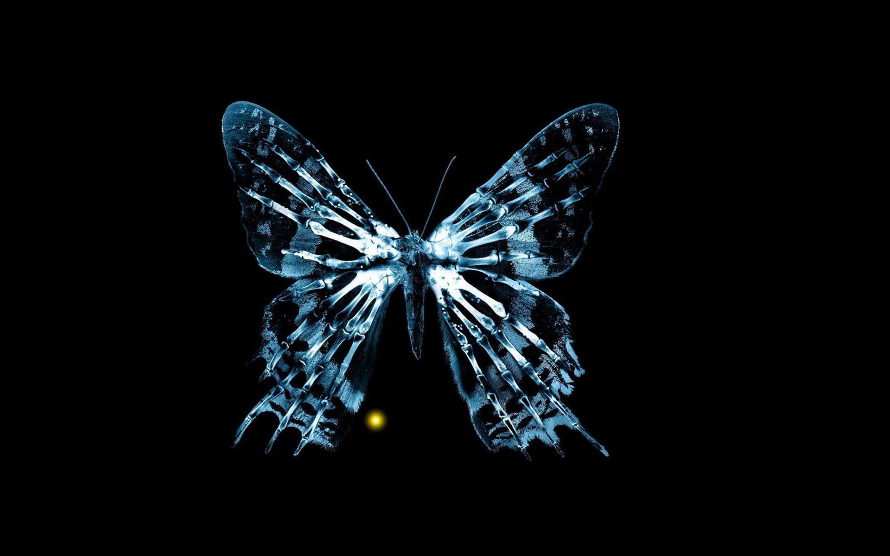 Butterfly Fringe Wallpaper HD Wallpaper