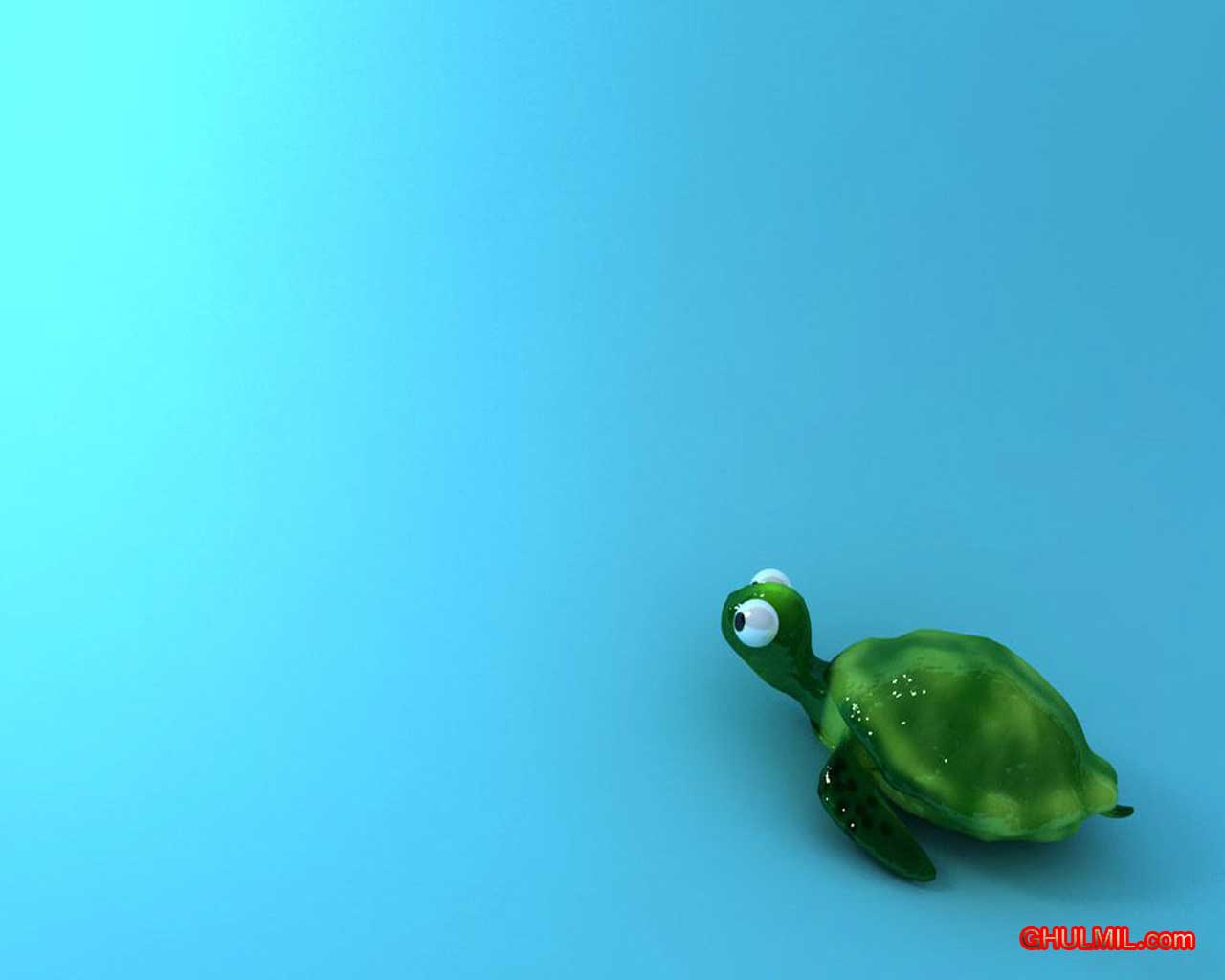 Wallpaper For > Cute Turtle Wallpaper