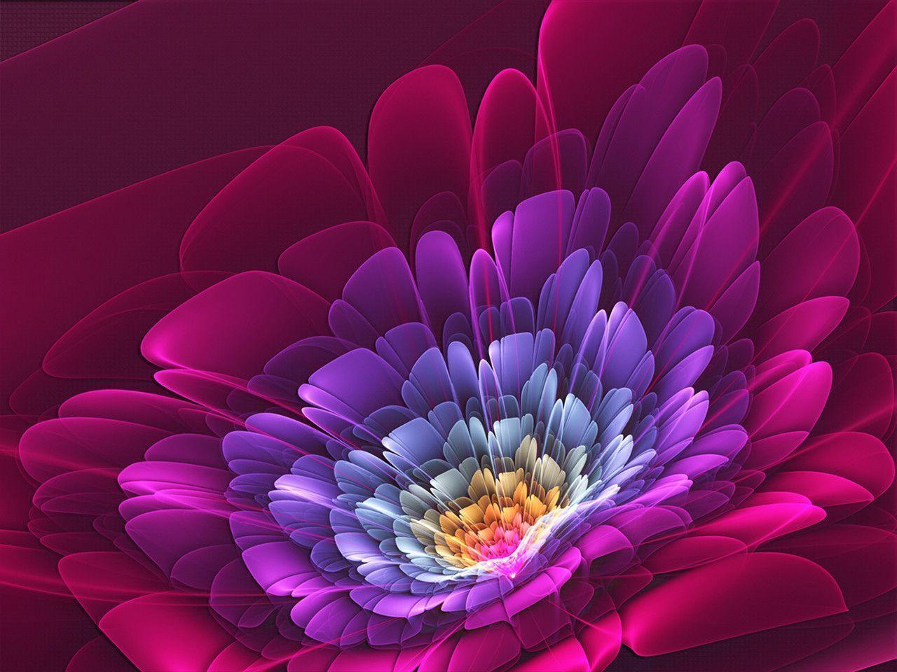 Full HD Flower Wallpaper HD Widescreen 11 HD Wallpaper