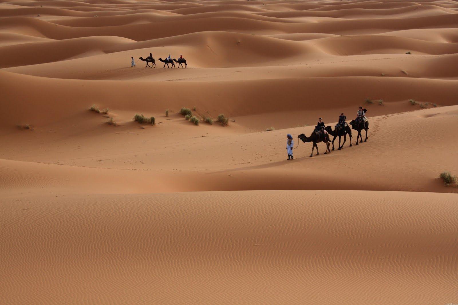 image For > Middle East Desert