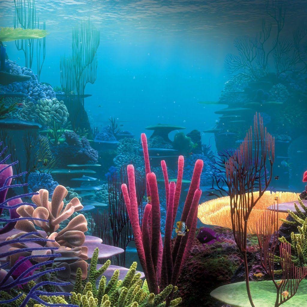 Ocean Life Download Free Wallpaper For Apple iPad