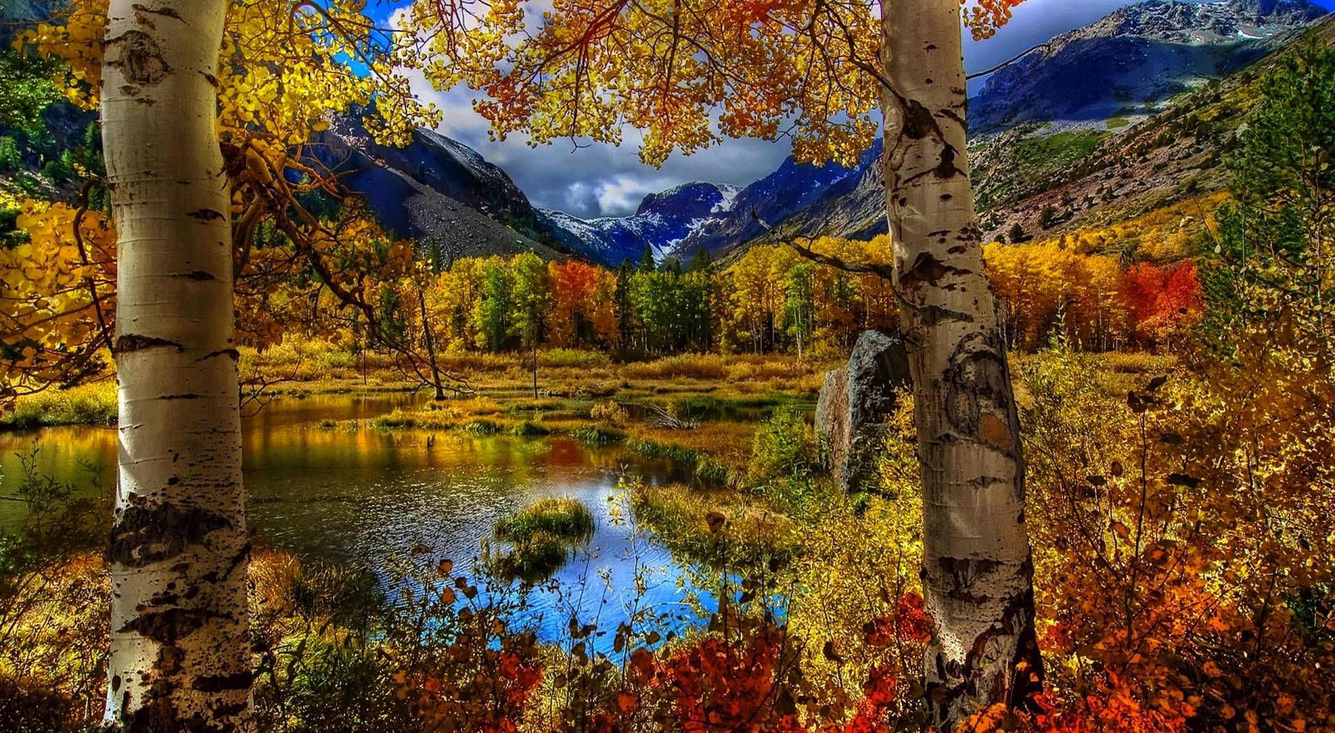 Free Wallpaper Of Fall Scenes. Wallpaper and Image