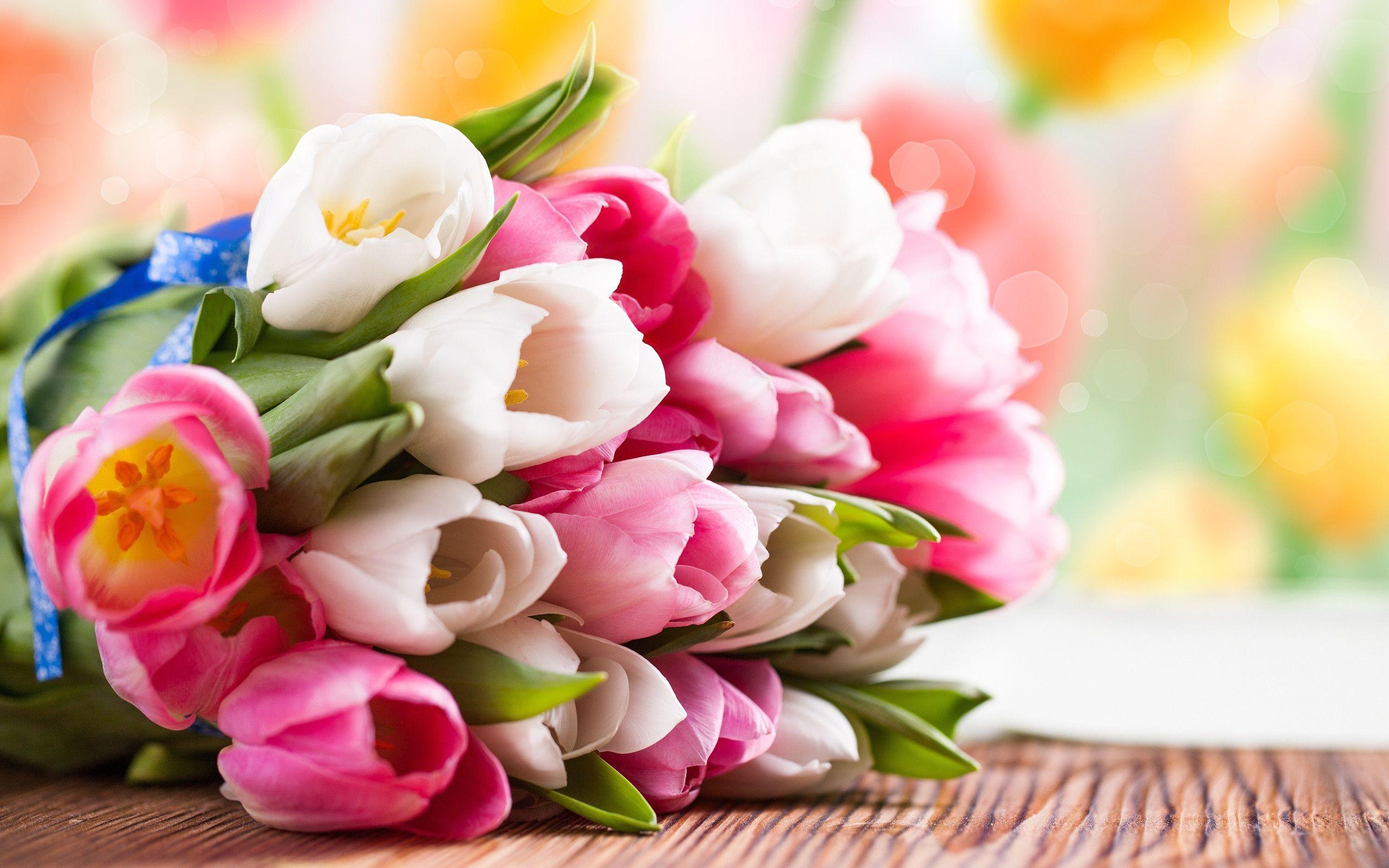 Pink and white tulip flower bouquet Wallpaperx1600