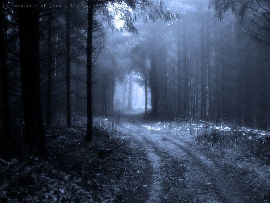 Wallpaper For > Dark Forest Background Tumblr