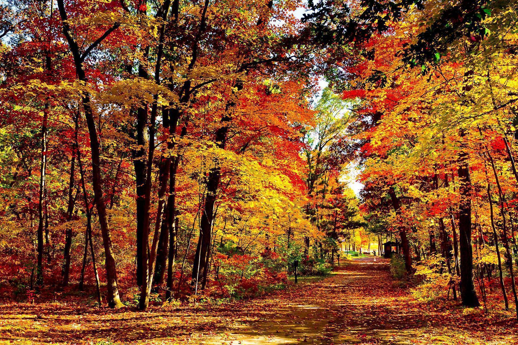 Beautiful Fall Picture Wallpaper
