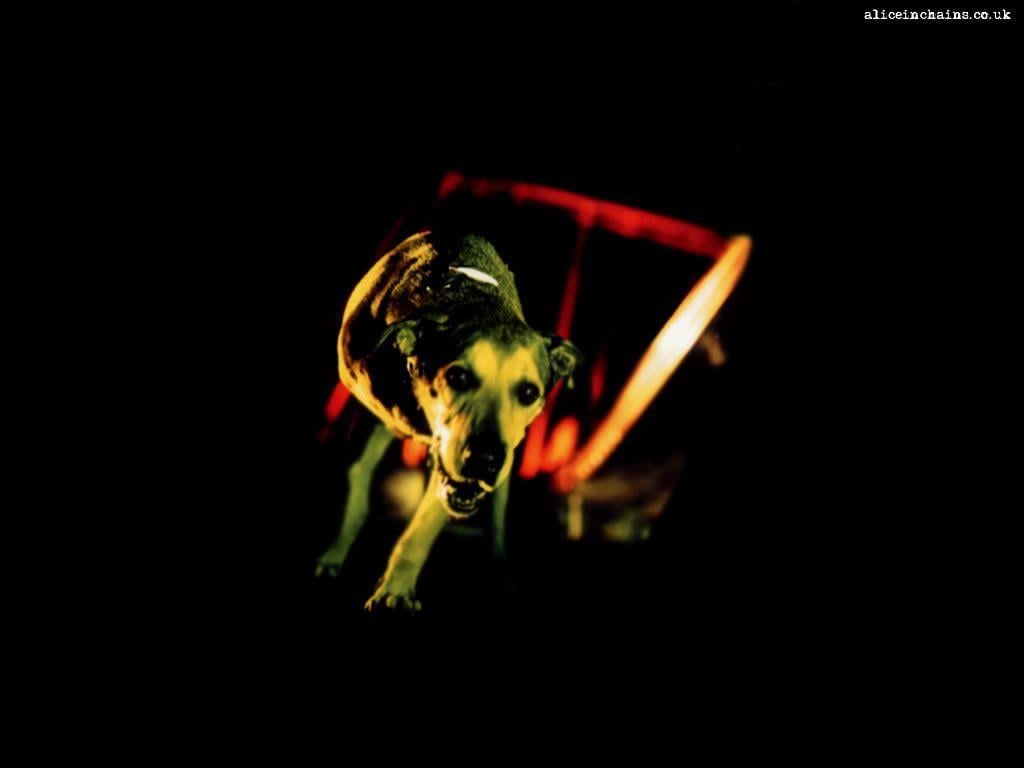 Alice In Chains dog wallpaper