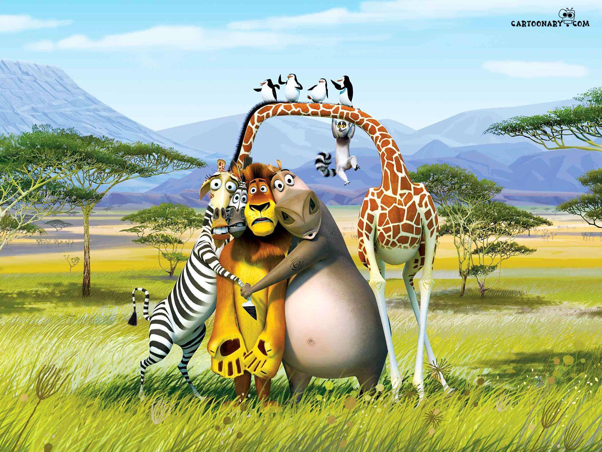 Madagaskar Movie Cartoon Wallpaper Wallpaper. High