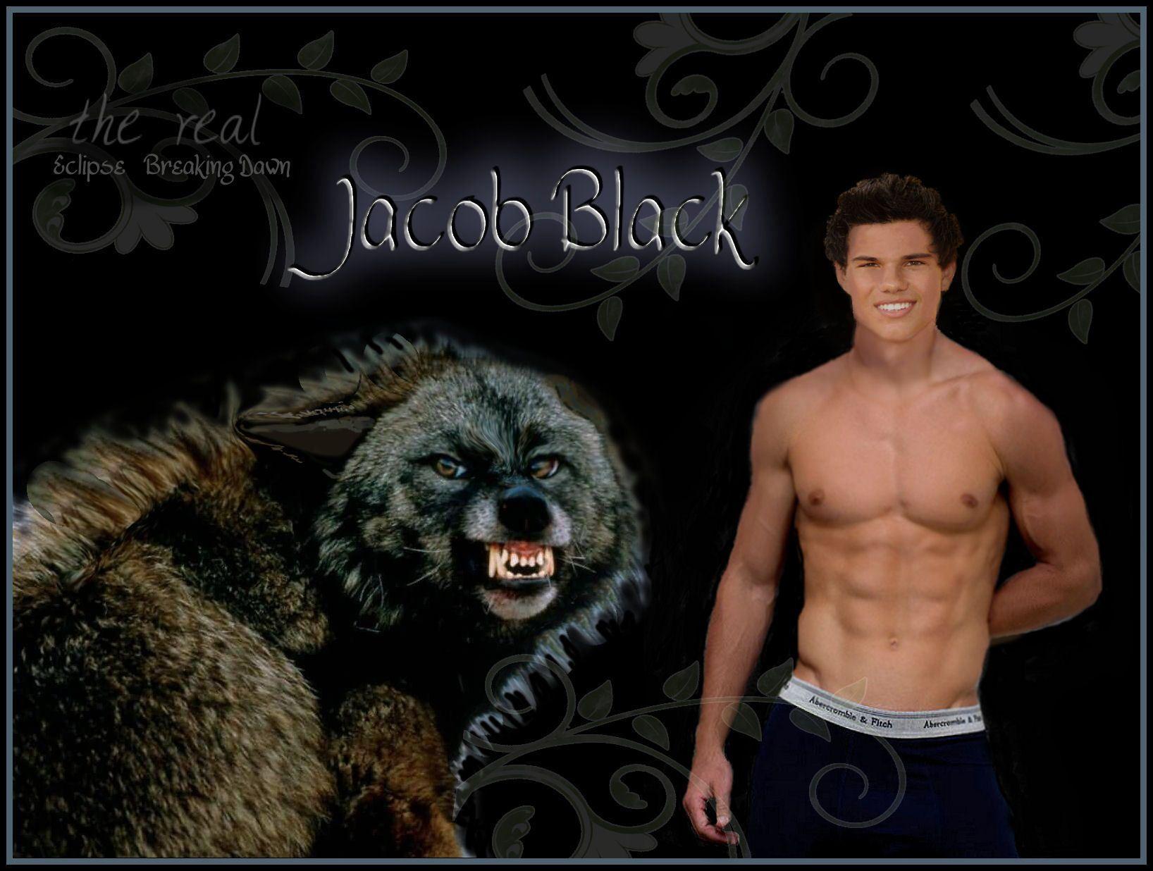 image For > Twilight Jacob Wolf Wallpaper