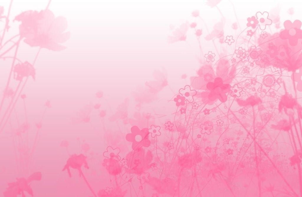 Pink Flower Background Designs