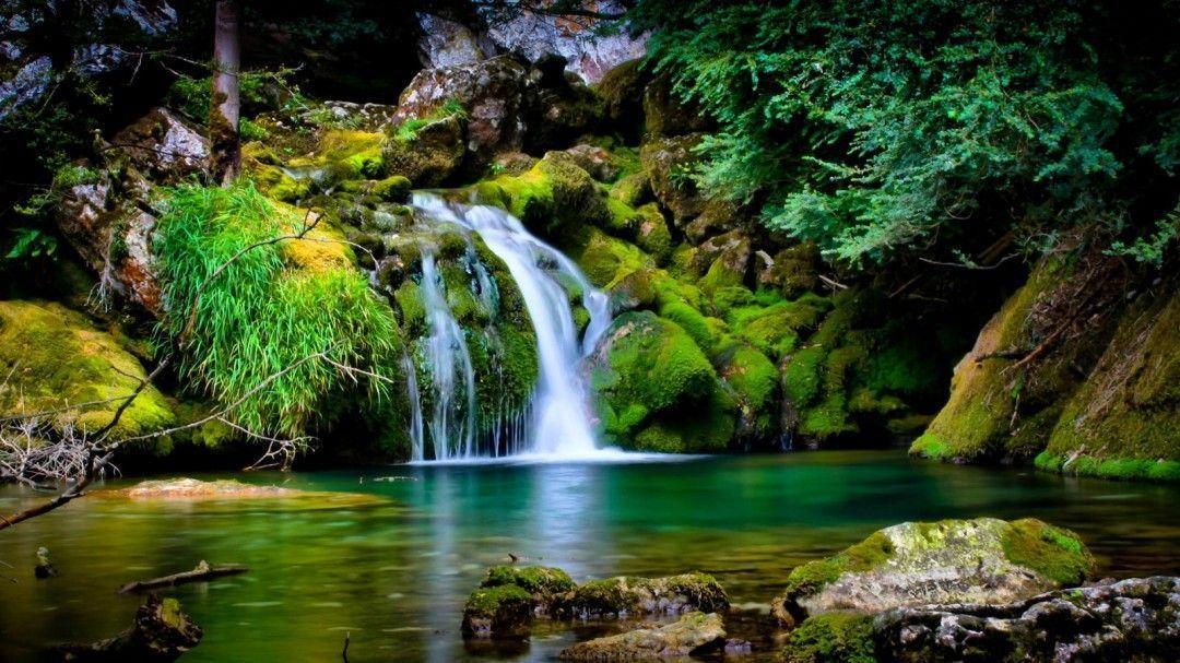 Beautiful Nature Cool Picture HD Wallpaper of Nature