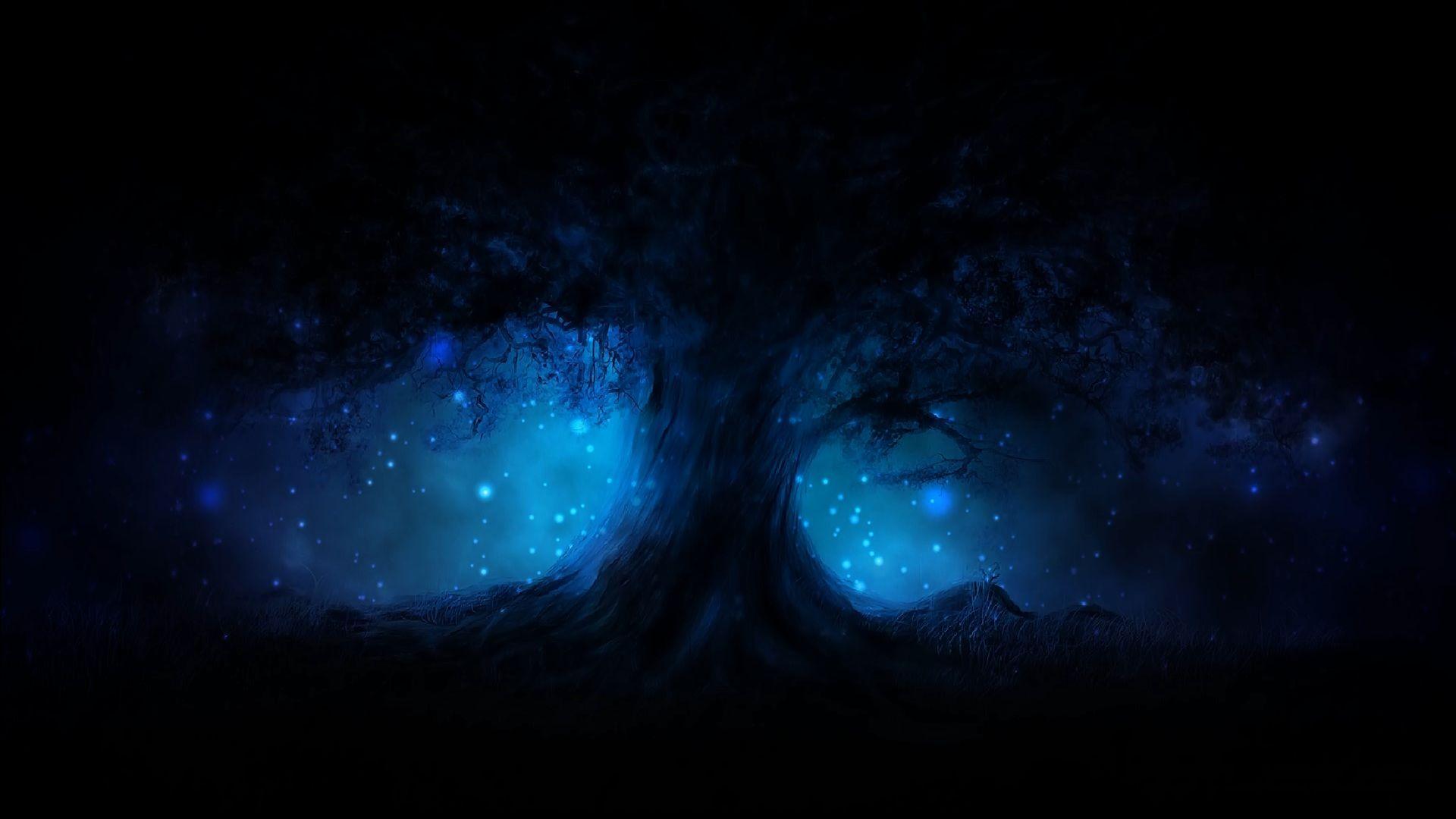 Tree Silhouette With Blue Light And Black Background taken