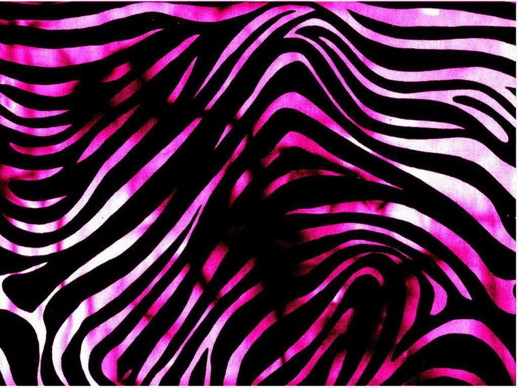 Pink Zebra Wallpaper and Background