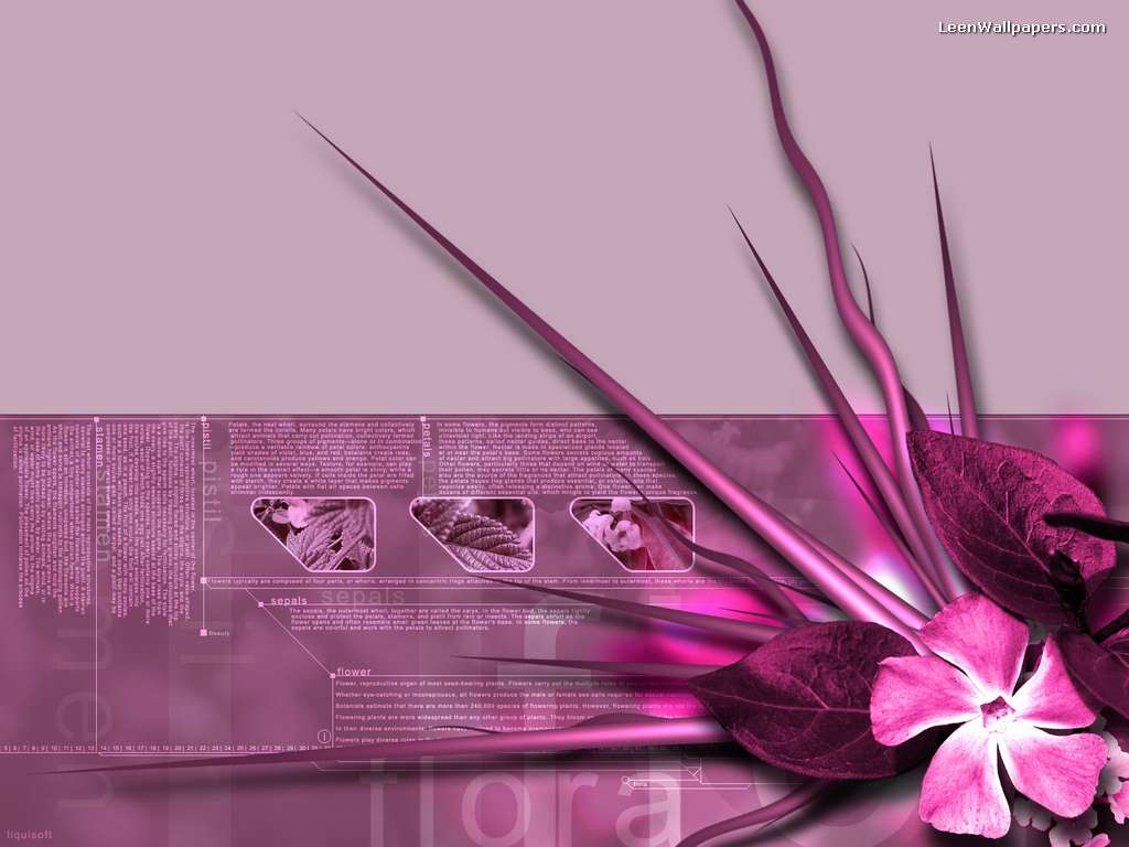 Wallpaper Desktop Pink HD Background « HD Wallpaper