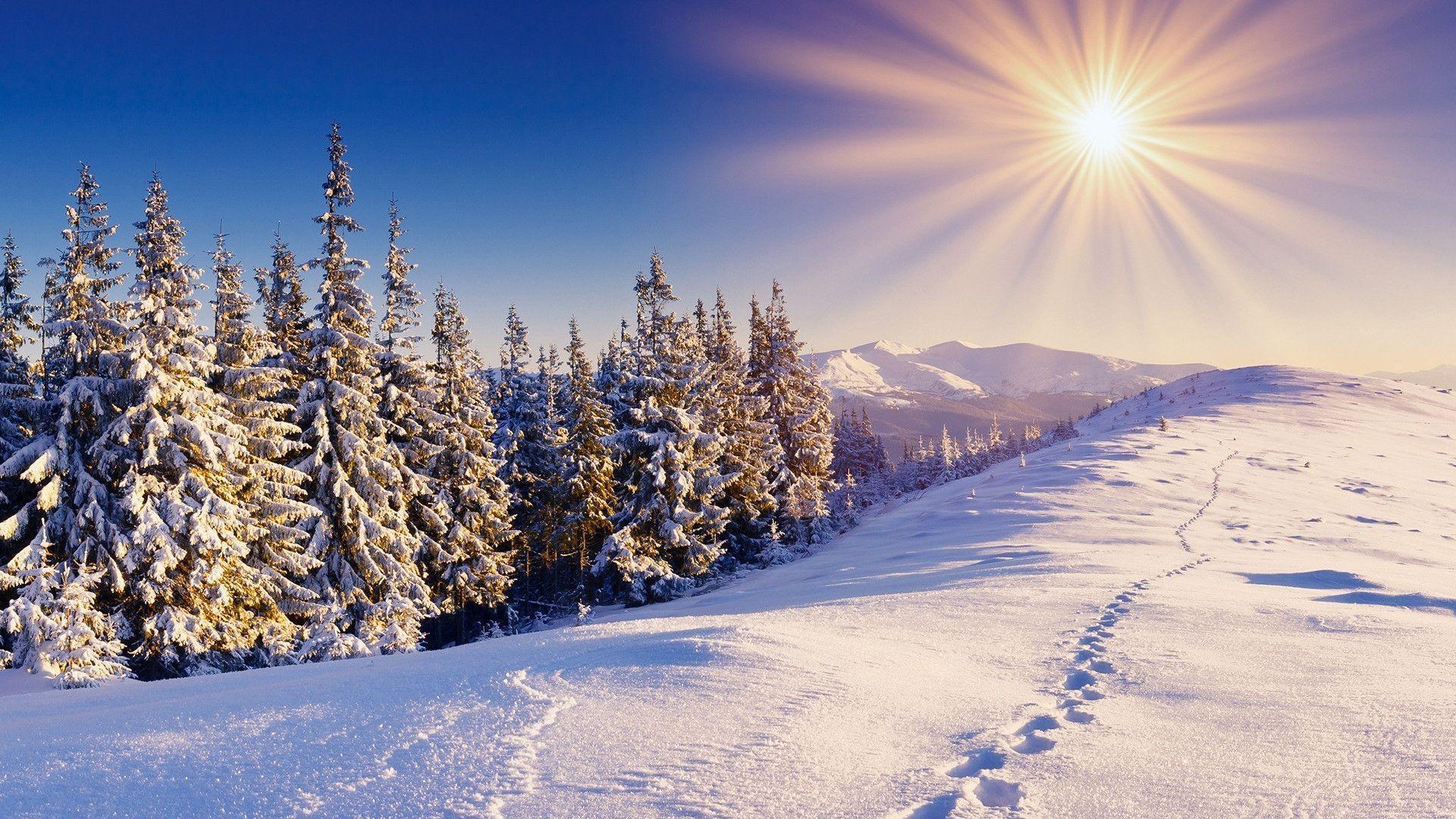 Download Cold Rays Winter Sun Nature iPhone iPad Wallpaper