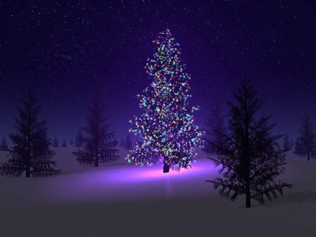 Free Christmas Tree Desktop Wallpaper