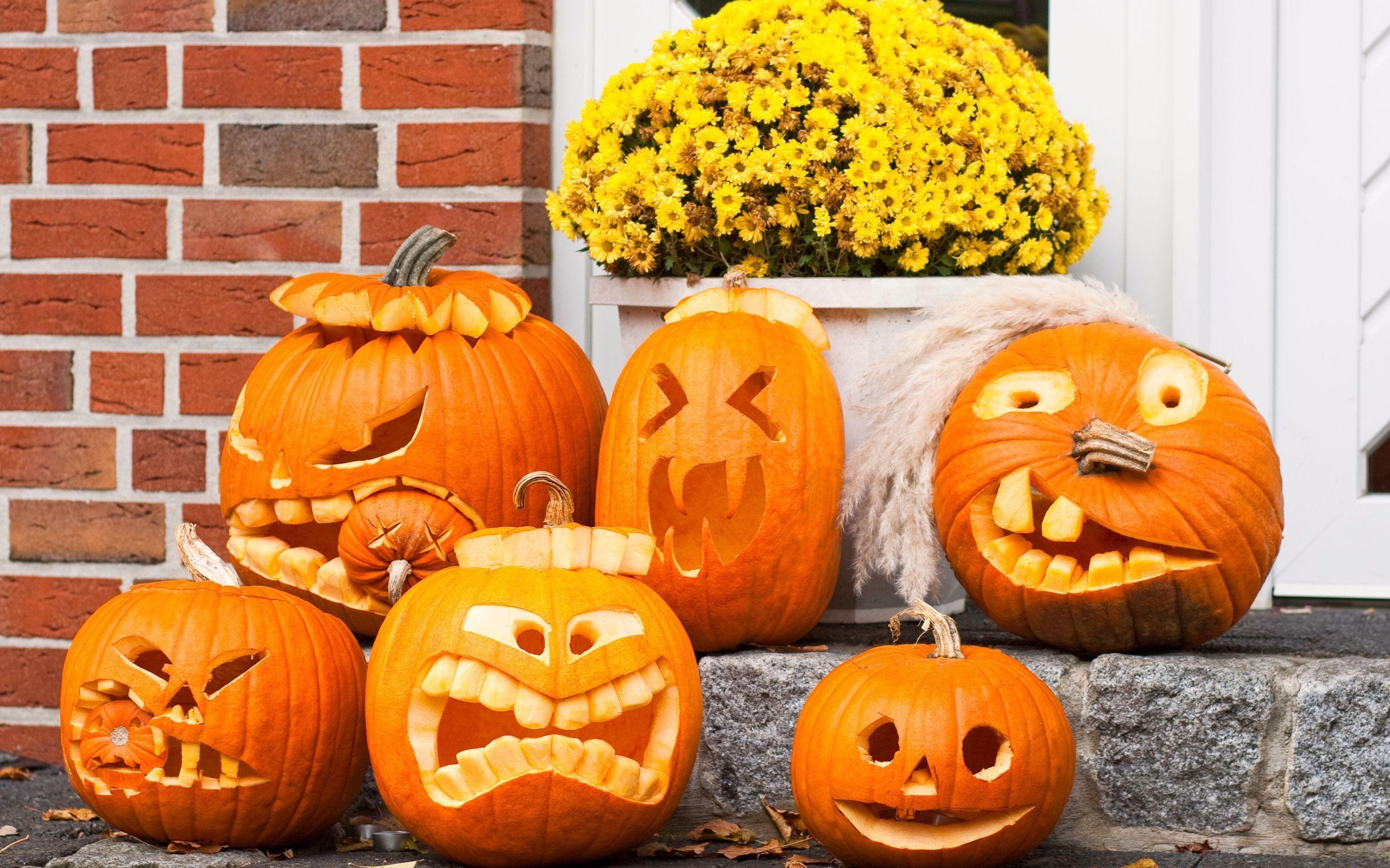 Funny Halloween Pumpkins Ideas 2014 « Desktop Background Wallpaper HD