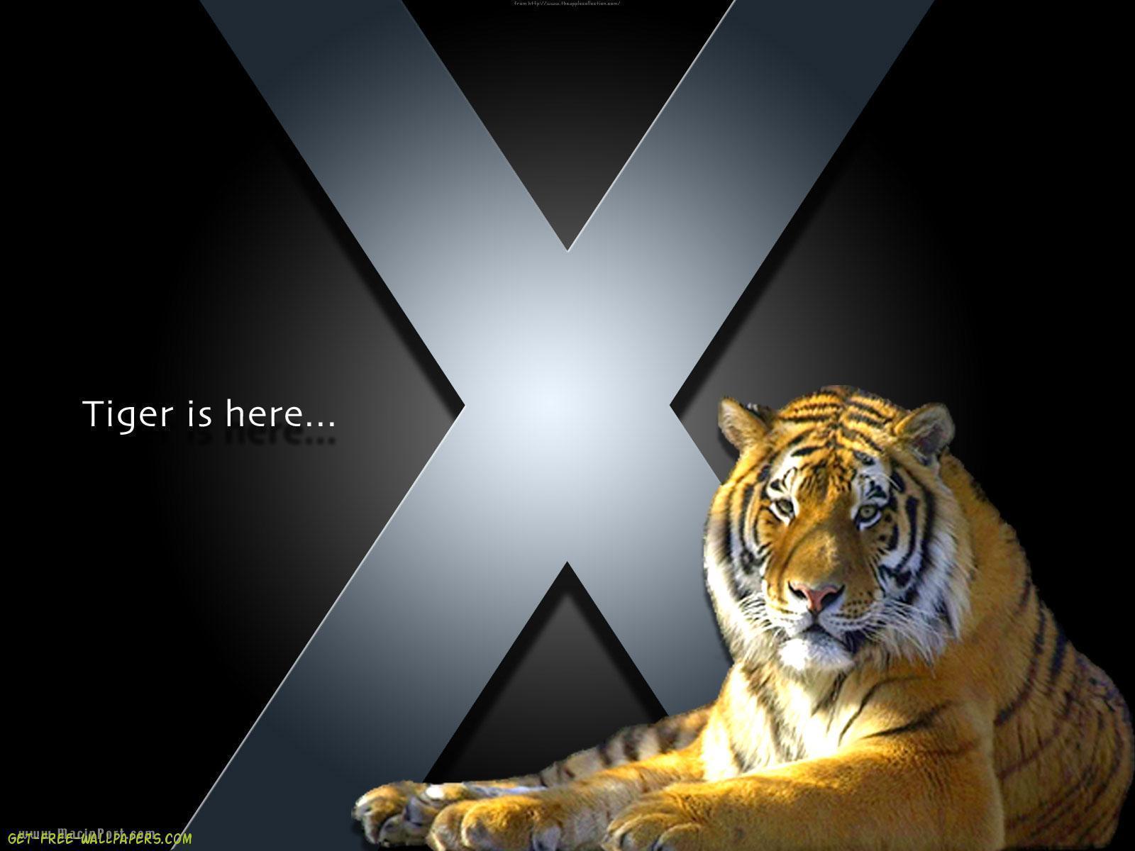 Animals For > Os X Tiger Wallpaper