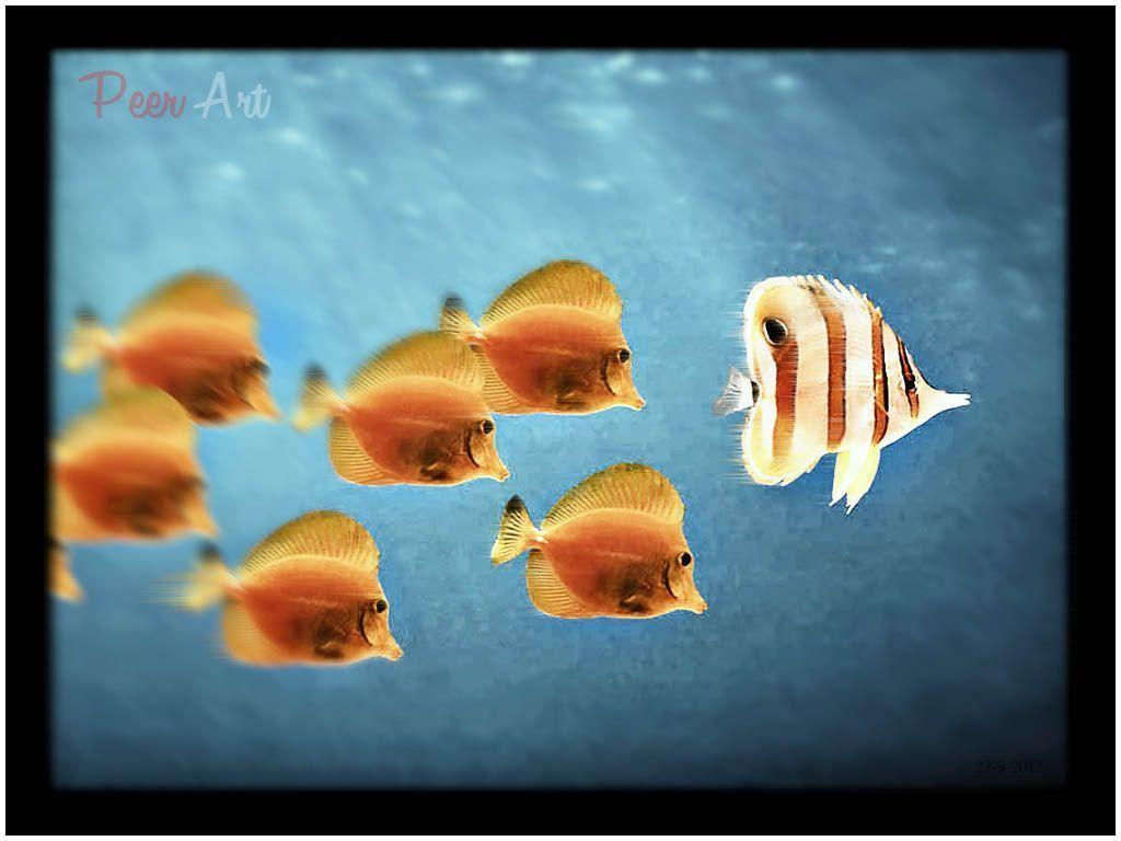 Peer Art: Windows 98 Fish Wallpaper