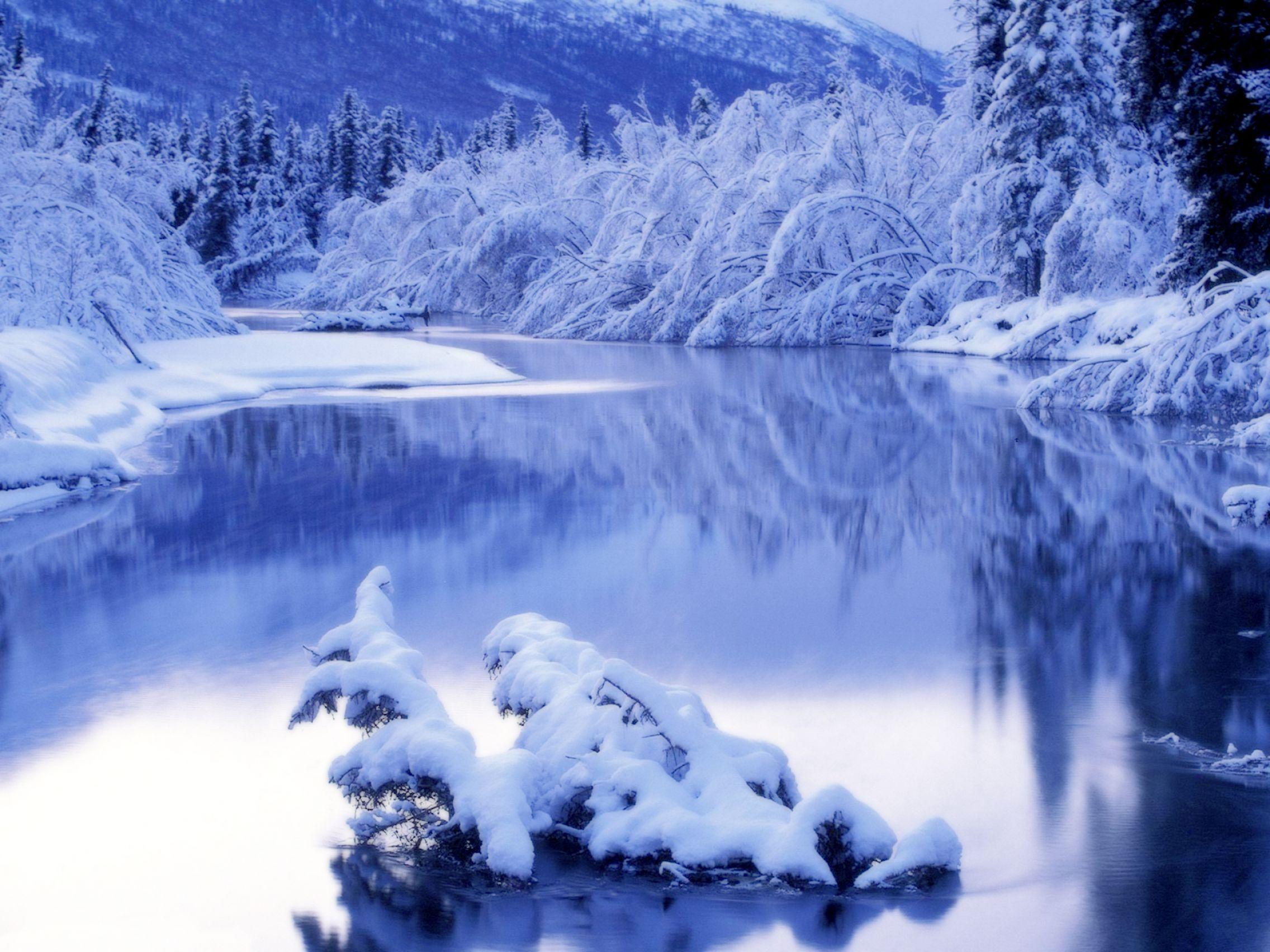 Winter Nature Wallpaper- HD Wallpaper OS