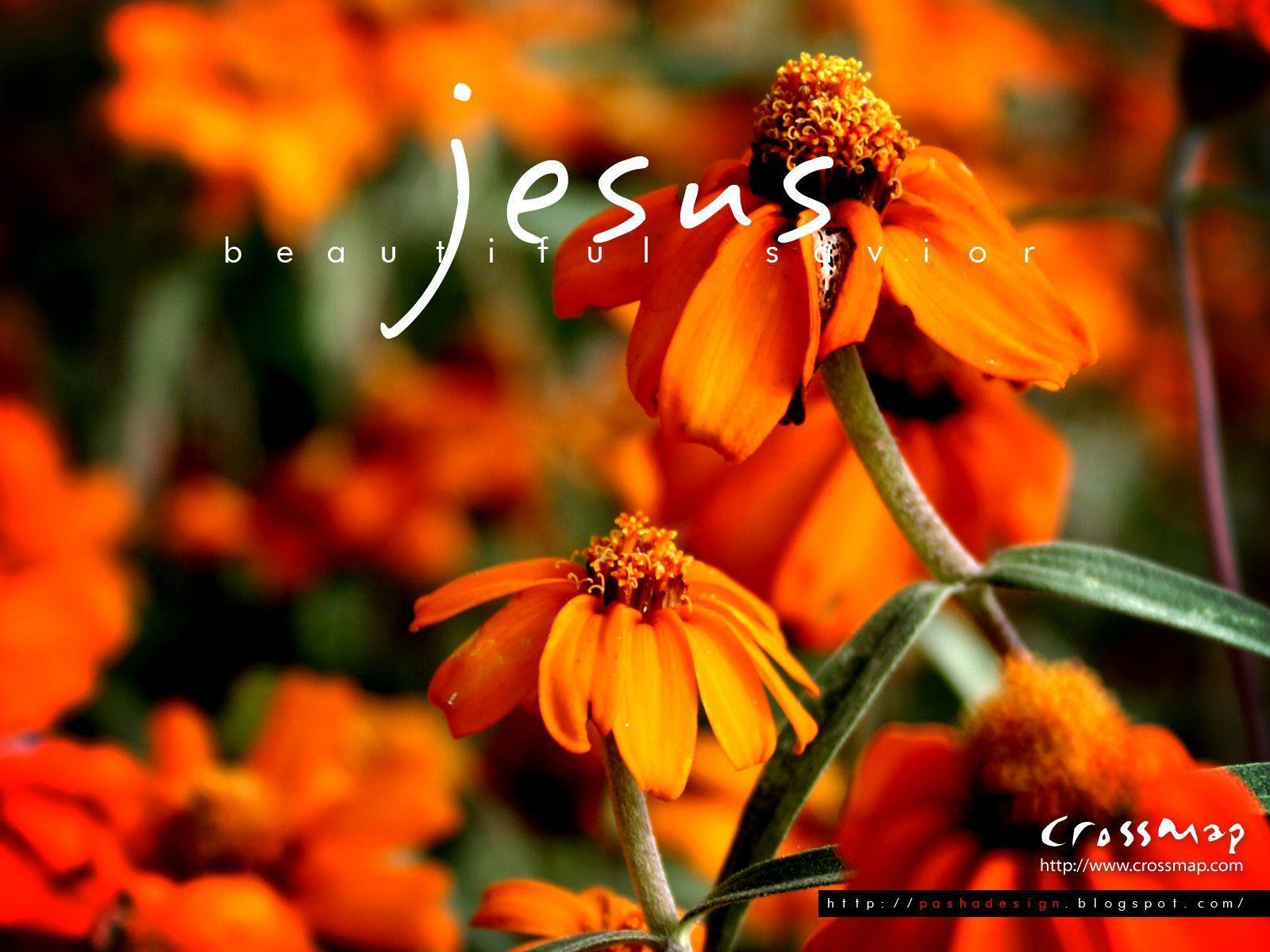 Jesus Beautiful Savior 3. Christian Photographs. Crossmap