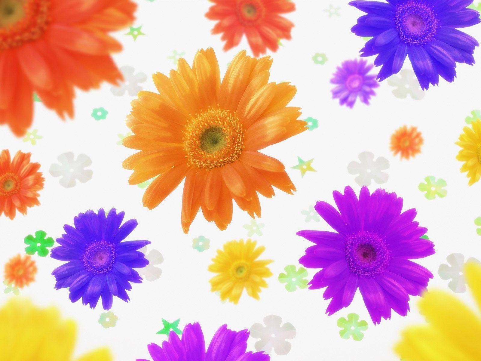 Wallpaper For > Daisy Background