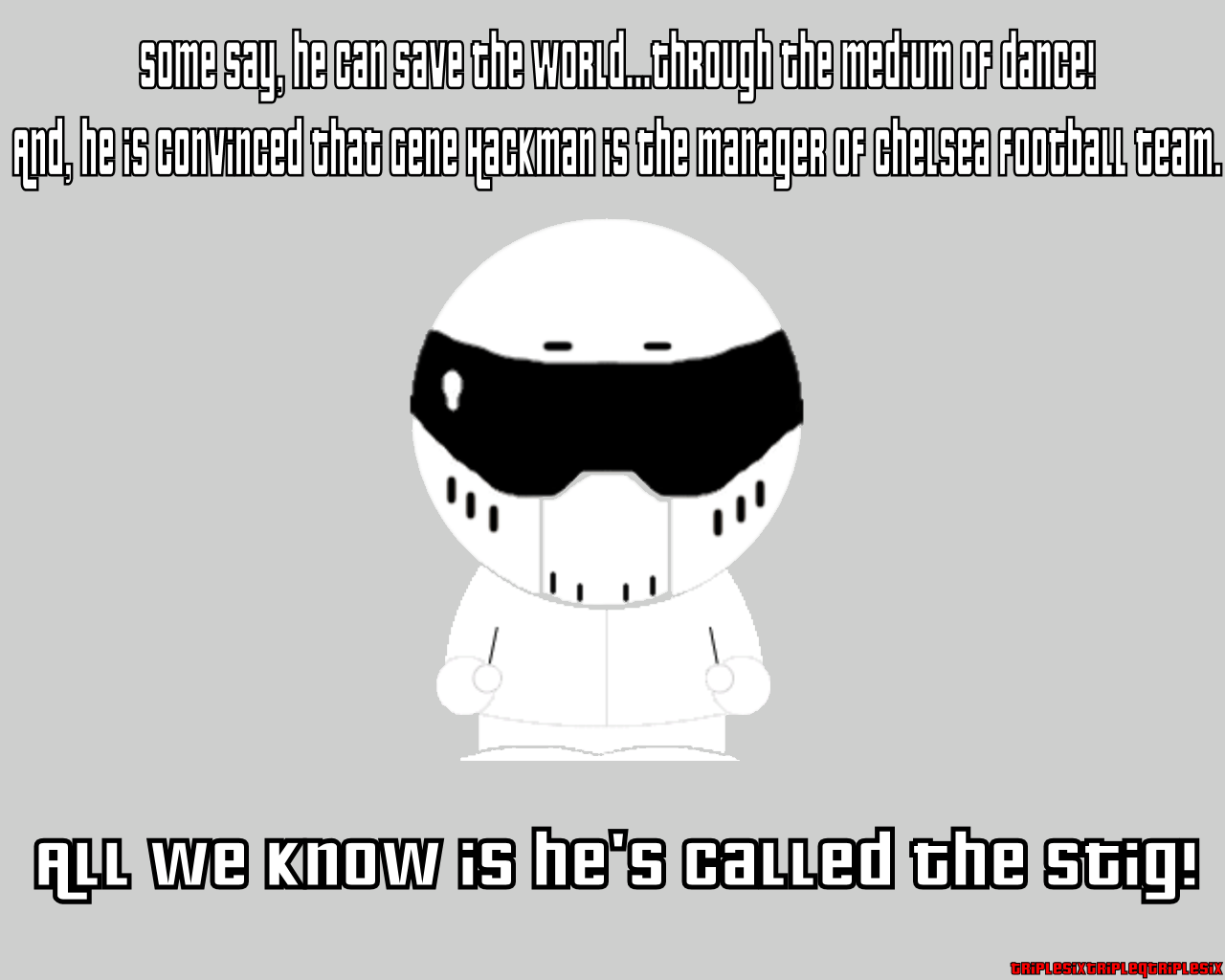 The Stig Facts
