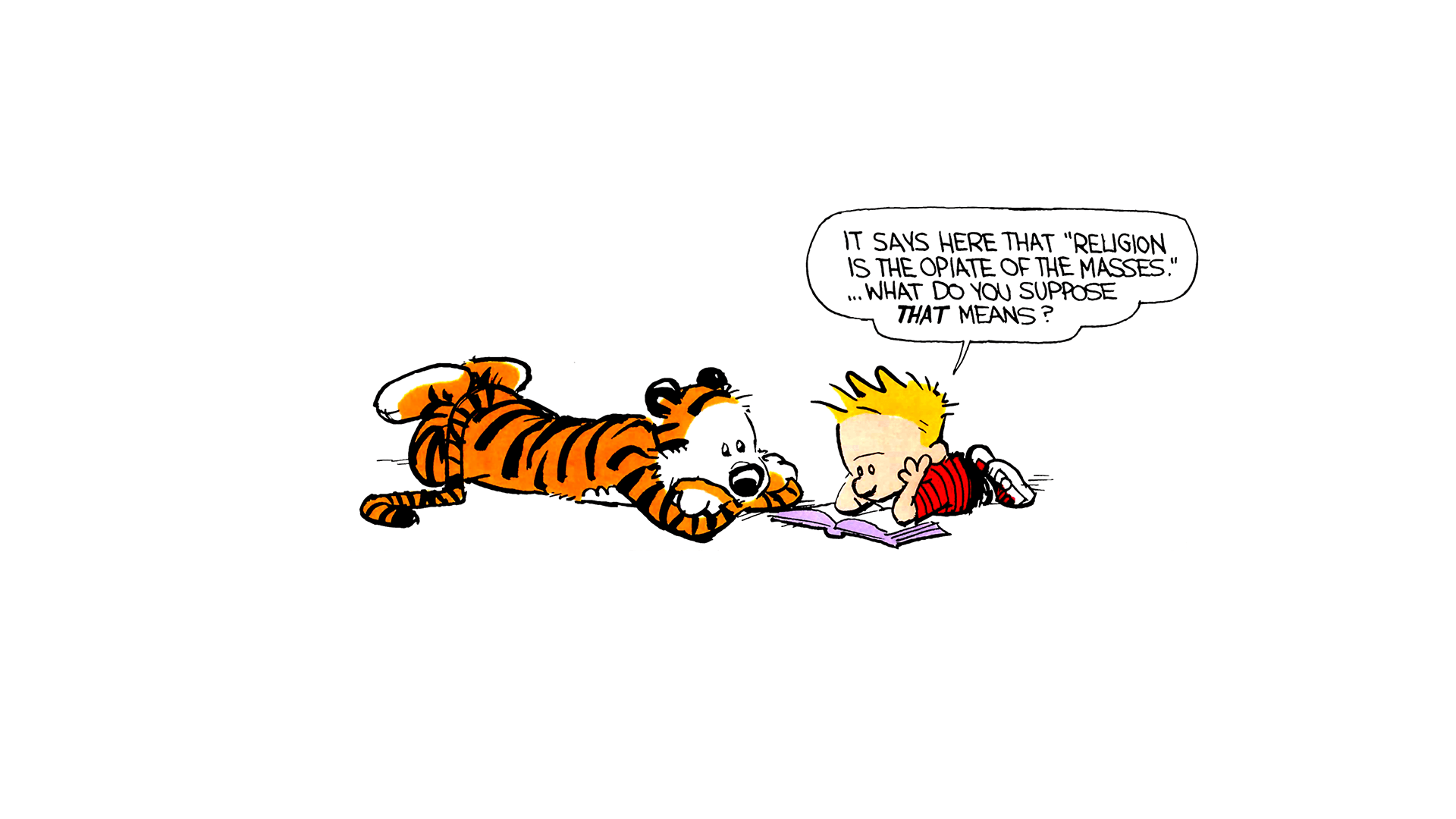 Calvin And Hobbes Wallpaper #